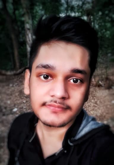 Ayush Chaurasia's image